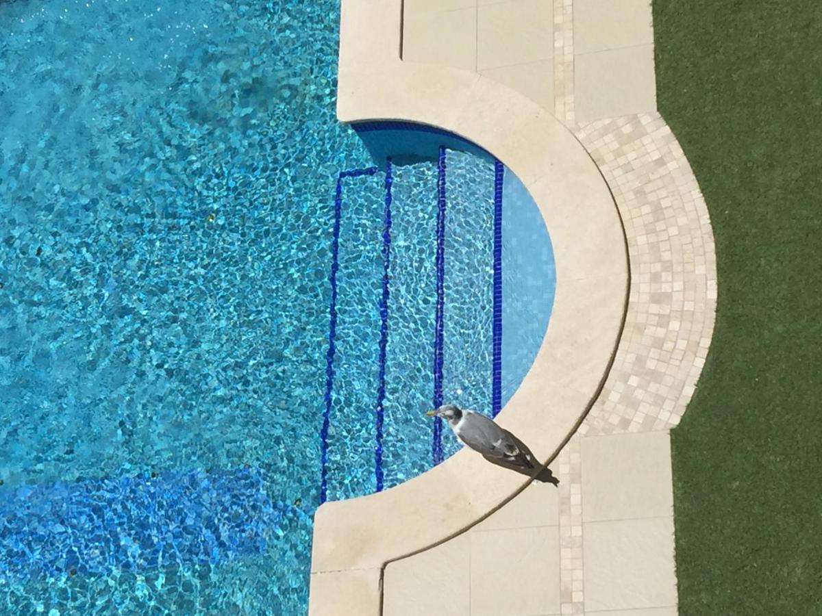 3 Min Walking To Peneco Beach Albufeira At Sol A Sul Apartments Exteriör bild